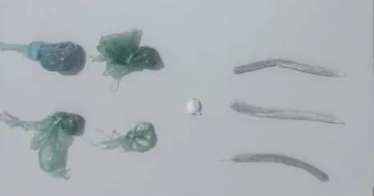 homem-e-preso-por-trafico-de-drogas-em-riachao-das-neves