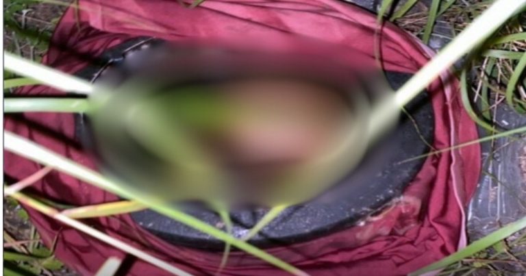 Crânio humano é encontrado dentro de panela em Ipirá cranio-humano-e-encontrado-dentro-de-panela-em-ipira