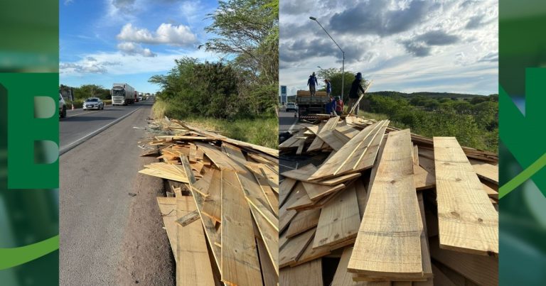Carga de madeira se espalha na pista após acidente no trecho da BR-116 em Brejões carga-de-madeira-se-espalha-na-pista-apos-acidente-no-trecho-da-br-116-em-brejoes