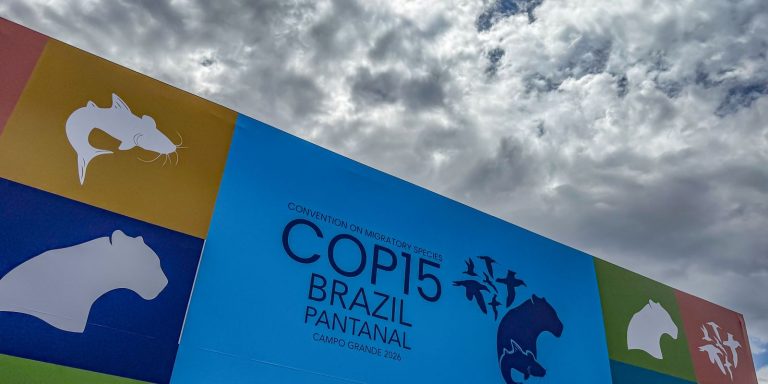 Cúpula de líderes orienta debates para COP15 em Campo Grande cupula-de-lideres-orienta-debates-para-cop15-em-campo-grande