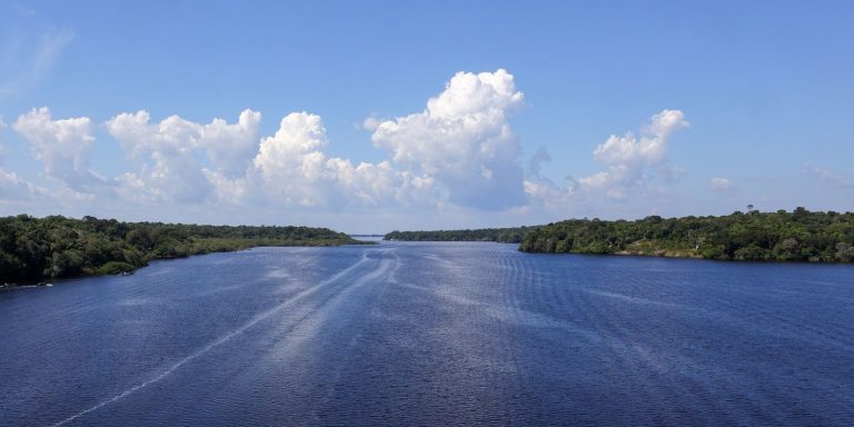 Jaraqui é reconhecido como patrimônio cultural imaterial do Amazonas jaraqui-e-reconhecido-como-patrimonio-cultural-imaterial-do-amazonas