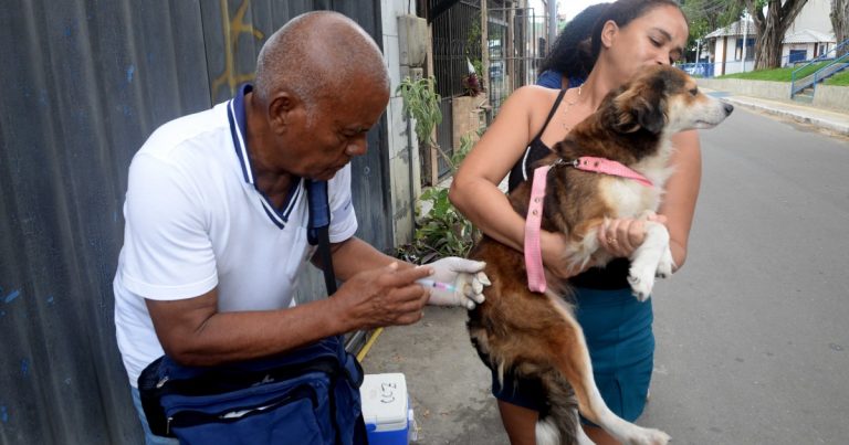 Vacinação antirrábica é realizada em quatro bairros limítrofes de Salvador; confira cronograma vacinacao-antirrabica-e-realizada-em-quatro-bairros-limitrofes-de-salvador;-confira-cronograma