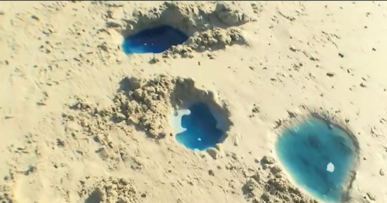 terminal-em-sao-tome-de-paripe-e-interditado-por-suspeita-de-contaminacao-da-praia