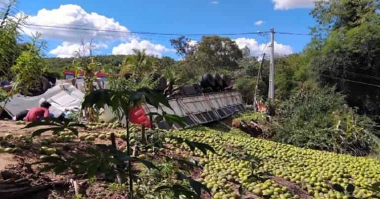 Motorista morre após acidente com carreta carregada de laranjas no sudoeste da Bahia motorista-morre-apos-acidente-com-carreta-carregada-de-laranjas-no-sudoeste-da-bahia