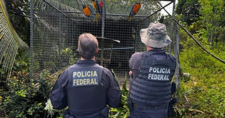 pf-cumpre-mandados-de-prisao-em-salvador-durante-operacao-de-combate-ao-trafico-internacional-de-animais