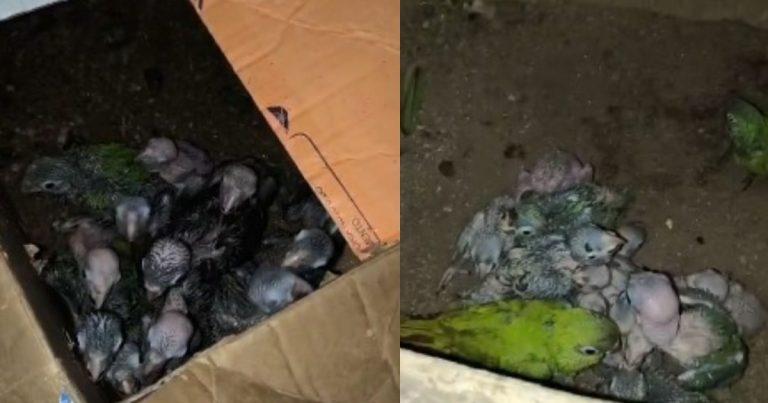 operacao-extincao-zero:-alem-de-salvador,-pf-cumpre-15-mandados-em-6-cidades-da-bahia;-2-suspeitos-estao-foragidos