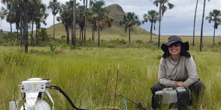 estudo-indica-que-cerrado-pode-armazenar-mais-carbono-que-amazonia