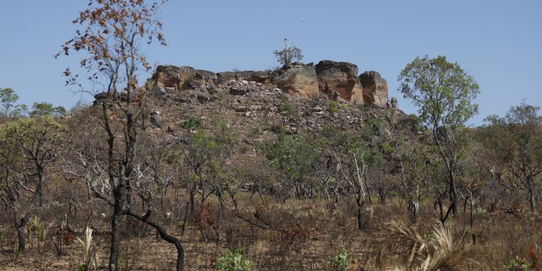Pesquisa com IA identifica terras agrícolas abandonadas no Cerrado pesquisa-com-ia-identifica-terras-agricolas-abandonadas-no-cerrado
