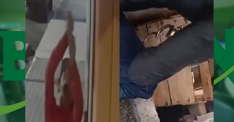 Loja de celulares é arrombada no centro de Eunápolis e polícia encontra iPhones escondidos em esgoto loja-de-celulares-e-arrombada-no-centro-de-eunapolis-e-policia-encontra-iphones-escondidos-em-esgoto