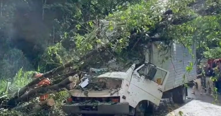 Árvore cai em caminhão e causa morte de duas pessoas na BR-415, em Itabuna; rodovia foi interditada arvore-cai-em-caminhao-e-causa-morte-de-duas-pessoas-na-br-415,-em-itabuna;-rodovia-foi-interditada