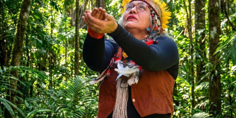 museu-historico-da-cidade-celebra-saberes-indigenas-no-rio-de-janeiro