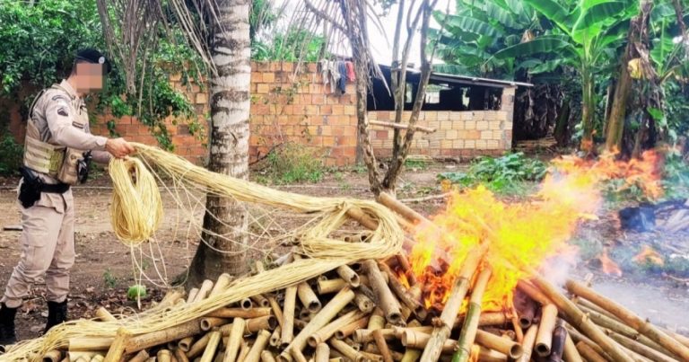 homem-e-preso-por-fabricar-explosivos-ilegalmente-no-reconcavo-baiano