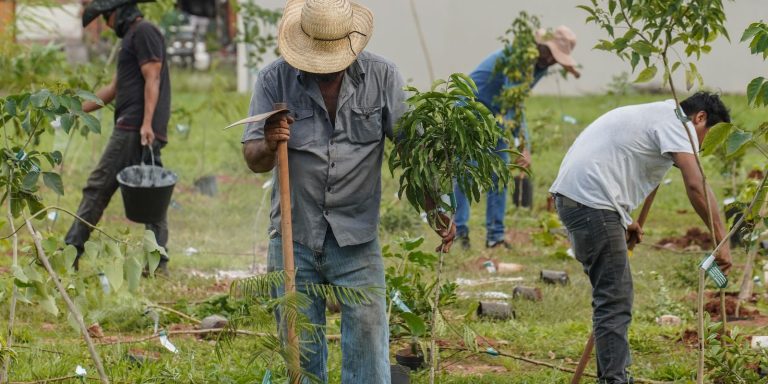 BB vai compensar emissões da COP15 no Brasil bb-vai-compensar-emissoes-da-cop15-no-brasil