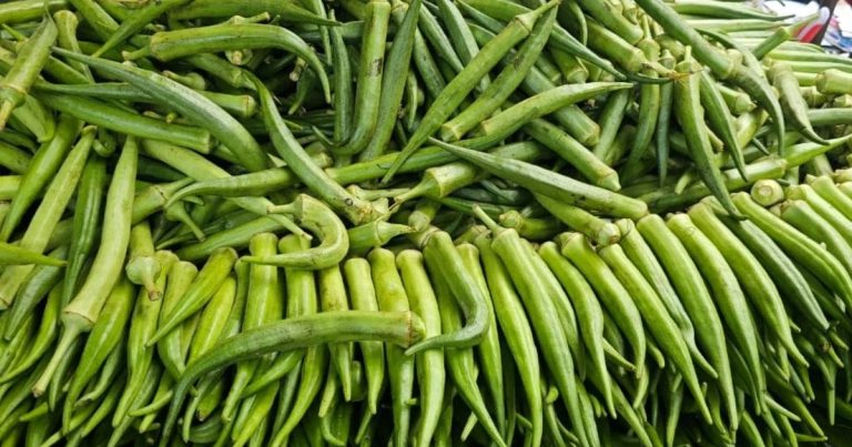 preco-do-quiabo-dispara-em-feira-na-semana-santa;-outros-alimentos-mantem-estabilidade