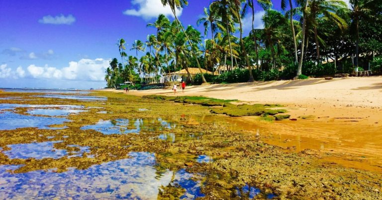 destinos-baianos-sao-destaque-em-ranking-nacional-de-hospitalidade