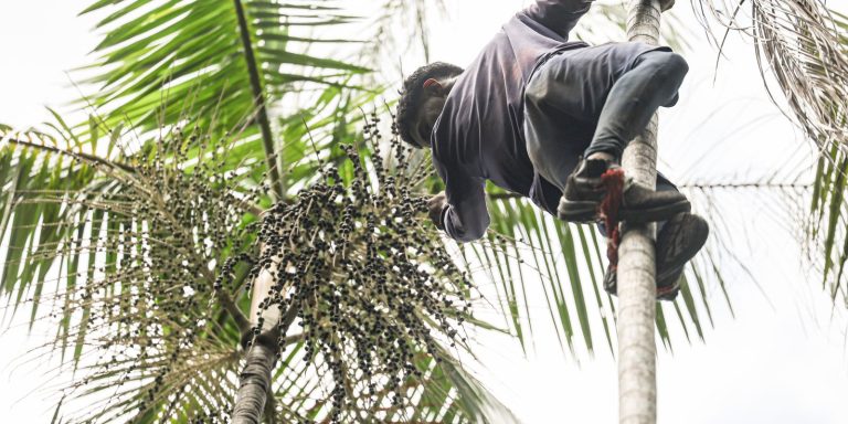 Governo investe R$ 132 milhões em regularização fundiária na Amazônia governo-investe-r$-132-milhoes-em-regularizacao-fundiaria-na-amazonia