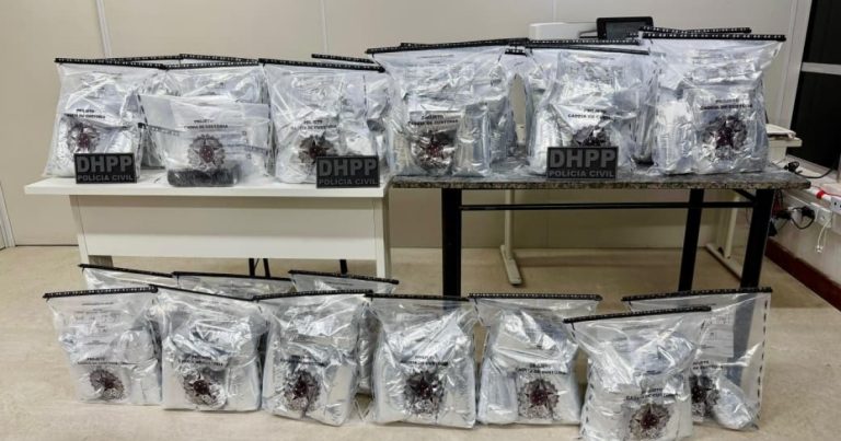 policia-apreende-80-kg-de-cocaina-na-br-116-e-prende-suspeito-ligado-ao-cv