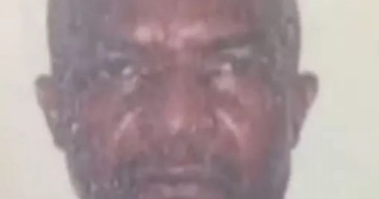 Idoso morre após cair de árvore no interior baiano; vítima colhia jaca no momento do incidente idoso-morre-apos-cair-de-arvore-no-interior-baiano;-vitima-colhia-jaca-no-momento-do-incidente