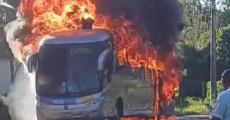 onibus-pega-fogo-na-ba-262,-proximo-a-urucuca;-passageiros-saem-ilesos