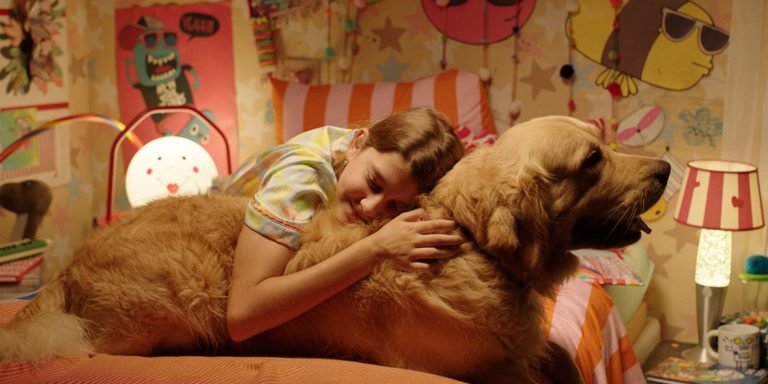 festival-de-cinema-biff-2026-divulga-programacao-e-selecionados