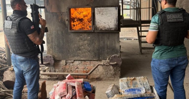 policia-civil-incinera-quase-2-toneladas-de-maconha-em-juazeiro-durante-operacao