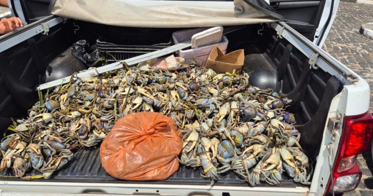 pm-realiza-apreensao-de-animais-silvestres-durante-operacao-de-defeso-em-valenca