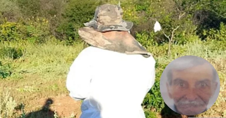 idoso-de-84-anos-morre-ao-tentar-fugir-de-enxame-de-abelhas-em-brumado