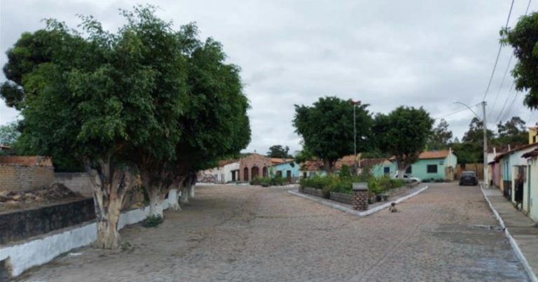 mp-ba-recomenda-que-palmeiras-recupere-vegetacao-de-praca-apos-corte-irregular-de-arvores