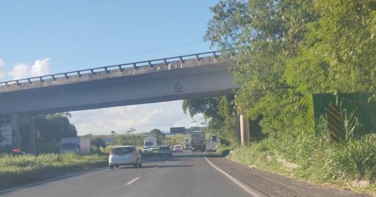 aumento-de-mato-e-notado-na-br-324-e-dnit-diz-que-crescimento-de-vegetacao-esta-associado-a-chuvas