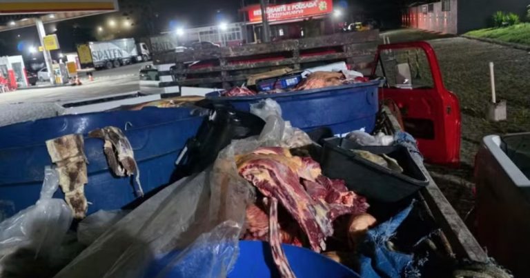 policia-apreende-quase-1-tonelada-de-carne-clandestina-no-sul-da-bahia;-motorista-e-preso