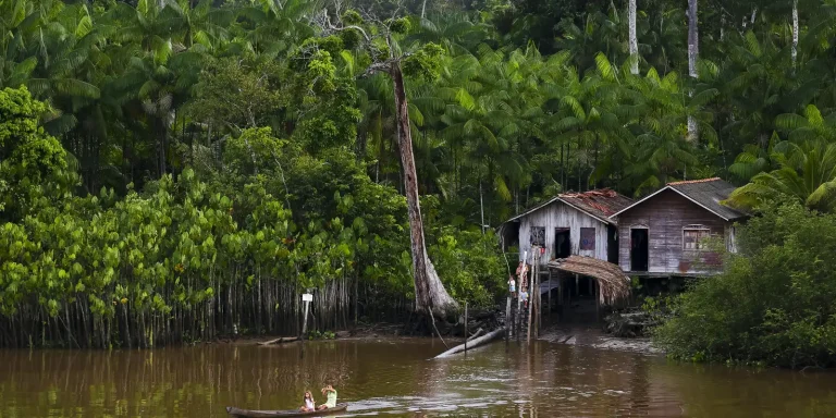 Projeto leva tratamento gratuito a doenças negligenciadas no Amazonas projeto-leva-tratamento-gratuito-a-doencas-negligenciadas-no-amazonas