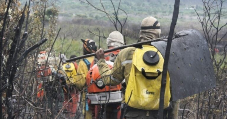 deputado-sugere-reconhecimento,-regulamentacao-e-cadastro-das-brigadas-voluntarias-na-bahia