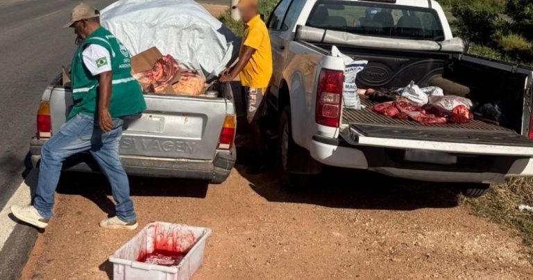 adab-apreende-mais-de-1-tonelada-de-carne-irregular-em-candiba-e-palmas-de-monte-alto