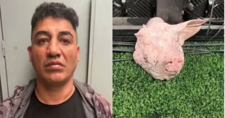Influenciador corintiano que arremessou cabeça de porco em clássico é preso suspeito de estupro influenciador-corintiano-que-arremessou-cabeca-de-porco-em-classico-e-preso-suspeito-de-estupro