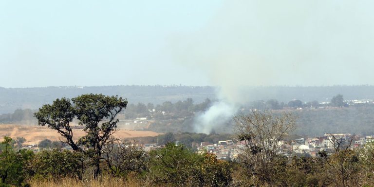 mma-lanca-edital-para-arborizar-periferia-urbana-de-pequenas-cidades