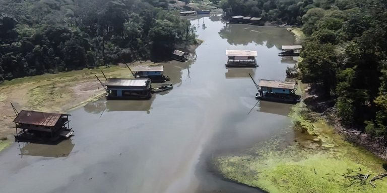 Estudo revela evolução do garimpo ilegal e novas táticas de exploração estudo-revela-evolucao-do-garimpo-ilegal-e-novas-taticas-de-exploracao