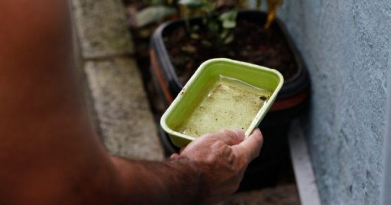 Bahia tem 6 cidades em epidemia de dengue, mas apresenta queda no número de casos bahia-tem-6-cidades-em-epidemia-de-dengue,-mas-apresenta-queda-no-numero-de-casos