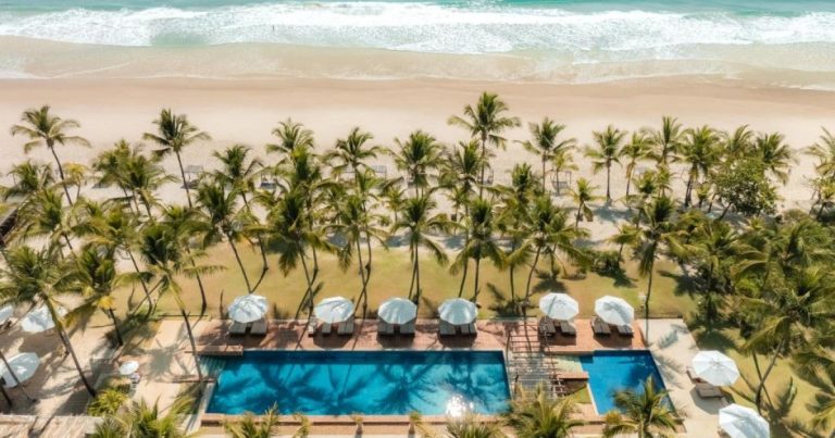 Inema autoriza que resort de luxo monitore praias no período reprodutivo de tartarugas marinhas em Itacaré inema-autoriza-que-resort-de-luxo-monitore-praias-no-periodo-reprodutivo-de-tartarugas-marinhas-em-itacare
