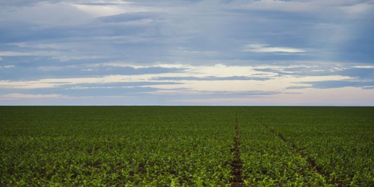 Fazenda estuda Fundo Garantidor para dívidas rurais fazenda-estuda-fundo-garantidor-para-dividas-rurais