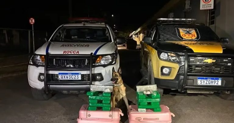 cadela-fareja-e-encontra-22-barras-de-maconha-em-onibus-com-destino-a-lagoa-real;-mulher-e-presa