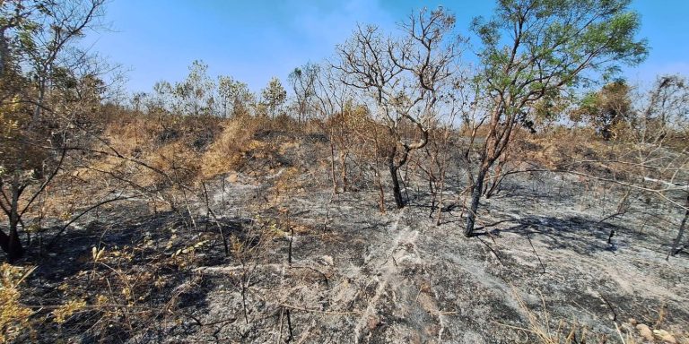 Mudanças climáticas já afetam 85% dos brasileiros, diz pesquisa mudancas-climaticas-ja-afetam-85%-dos-brasileiros,-diz-pesquisa