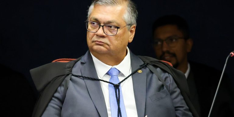 Dino dá 10 dias para governo mostrar plano de combate a incêndios dino-da-10-dias-para-governo-mostrar-plano-de-combate-a-incendios
