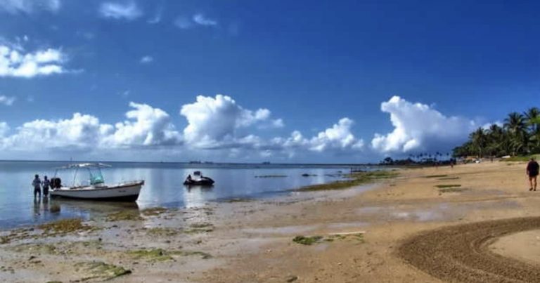 MP-BA notifica responsáveis por loteamento irregular e danos ambientais em Mar Grande, na Ilha de Itaparica mp-ba-notifica-responsaveis-por-loteamento-irregular-e-danos-ambientais-em-mar-grande,-na-ilha-de-itaparica