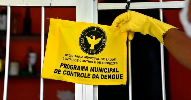 Salvador registra aumento de casos de arboviroses em 2026; SMS intensifica ações preventivas na cidade salvador-registra-aumento-de-casos-de-arboviroses-em-2026;-sms-intensifica-acoes-preventivas-na-cidade