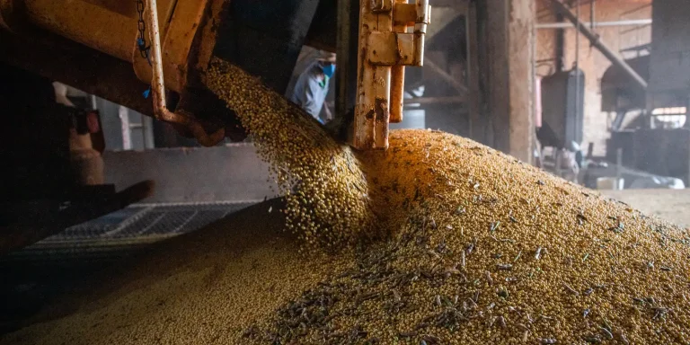 Economia brasileira cresce 1,1% no 1º trimestre economia-brasileira-cresce-1,1%-no-1o-trimestre
