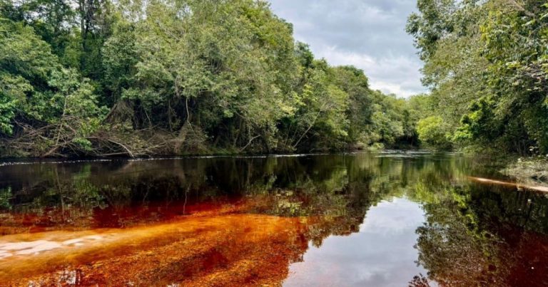 Consulta pública para unidade de conservação na Chapada Diamantina é aberta após ataques a ambientalistas consulta-publica-para-unidade-de-conservacao-na-chapada-diamantina-e-aberta-apos-ataques-a-ambientalistas