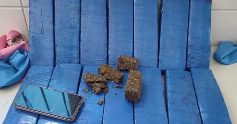policia-apreende-14kg-de-maconha-em-onibus-de-viagem-na-br-030
