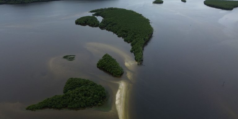 Carbono azul ganha espaço na agenda climática dos oceanos carbono-azul-ganha-espaco-na-agenda-climatica-dos-oceanos