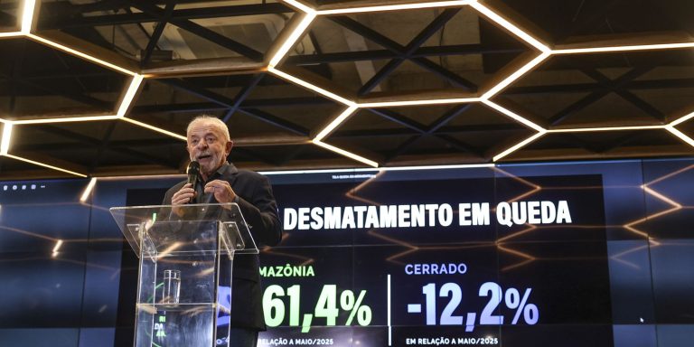 Desmatamento na Amazônia cai 61,4% em maio de 2026 desmatamento-na-amazonia-cai-61,4%-em-maio-de-2026