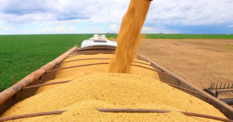 PIB do agronegócio baiano atinge R$ 19,2 bilhões no primeiro trimestre de 2026 pib-do-agronegocio-baiano-atinge-r$-19,2-bilhoes-no-primeiro-trimestre-de-2026